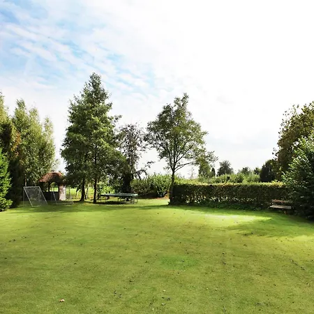 Atmospheric In On A Golf Course * Asten